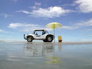 Buggies Clássicos - Fyber