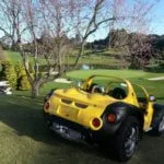 Parachoques em buggy