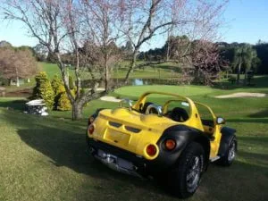 Parachoques em buggy