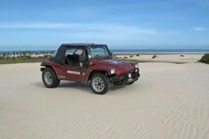 Buggy Abais