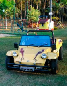 Buggy Bird do Ricardo Preto Preto - Planeta Buggy