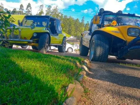 Buggy Way do Becker