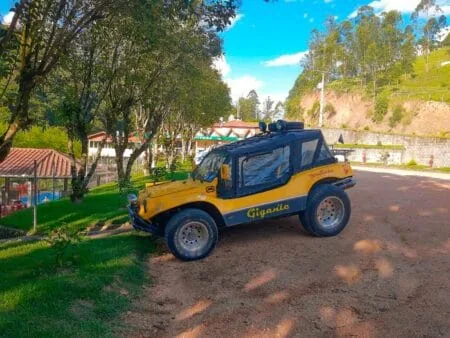 Buggy Way do Becker