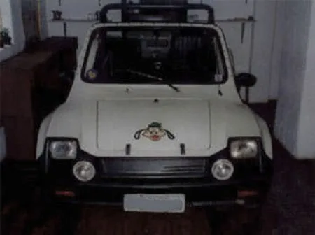 Buggy Carrera - Ari Martins