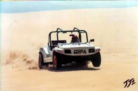 Buggy Cobra