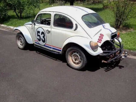 Baja Bug do Amadeu
