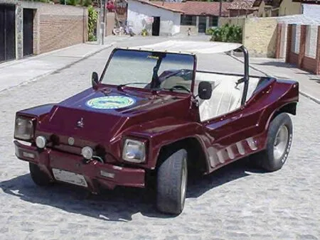 Buggy Panda