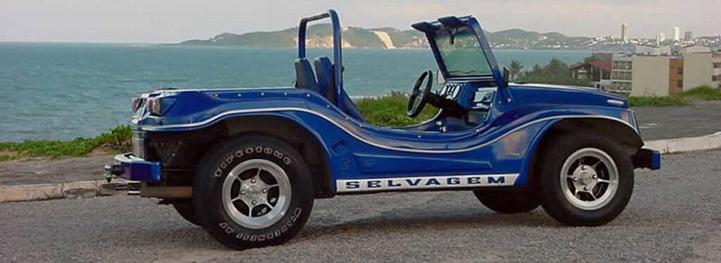 Buggy Selvagem do Marcos Melo