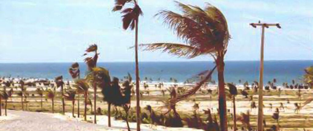 Gringo em Fortaleza - Perico