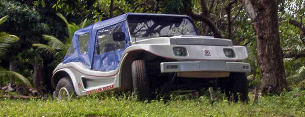 Buggy Selvagem do Davi Neves