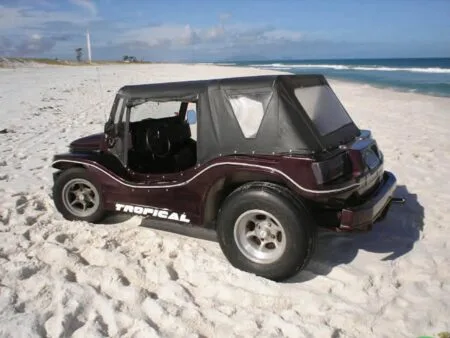 Buggy Tropical do Flávio Moore