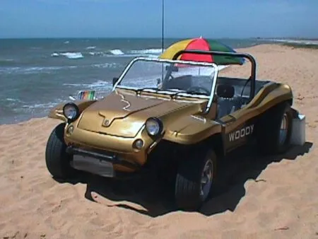 Buggy Woody do Fabrinic