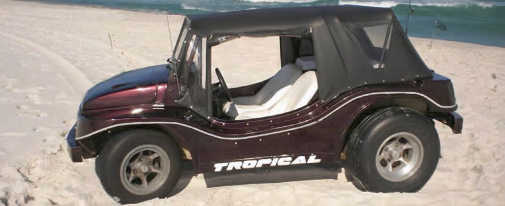 Buggy Tropical do Flávio Moore