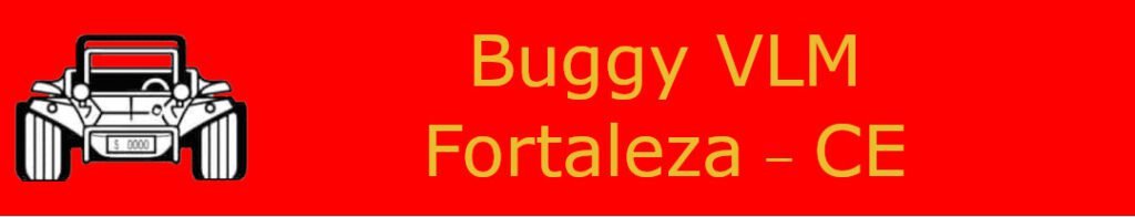 Buggy VLM