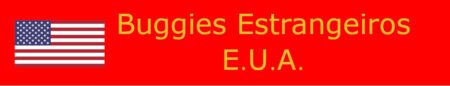 Leia mais sobre o artigo Buggies Americanos no Planeta – 2005